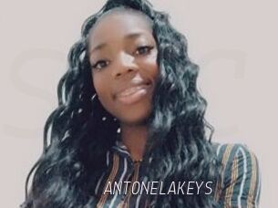 ANTONELAKEYS