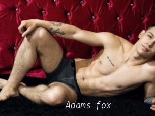 Adams_fox