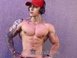 Adamscollims