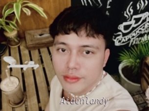 Aidenlandy