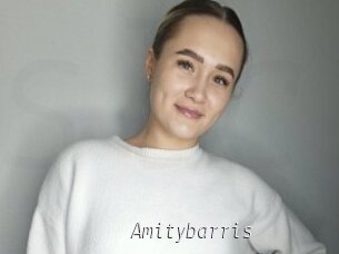 Amitybarris