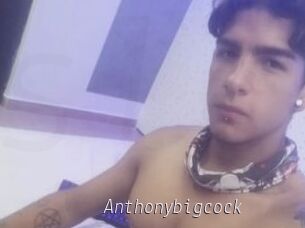 Anthonybigcock