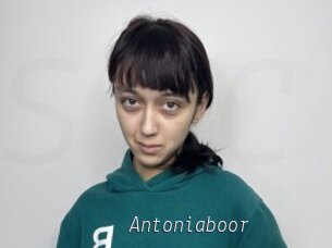 Antoniaboor