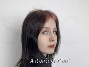 Antoniacrofoot