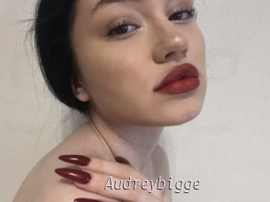 Audreybigge