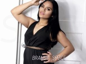 BRANDY_SPICE