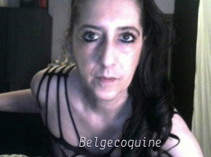 Belgecoquine