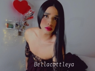 Bellacattleya