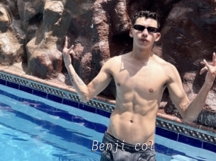 Benji_col