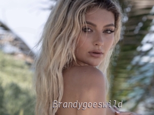 Brandygoeswild