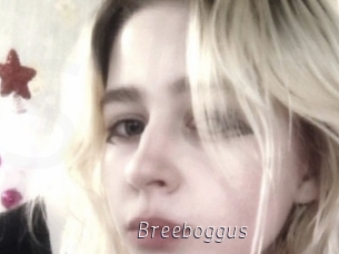 Breeboggus