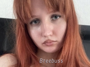 Breebuss