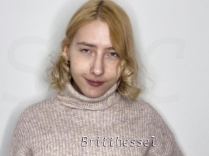 Britthessel