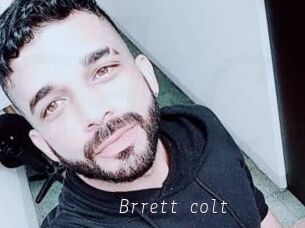 Brrett_colt