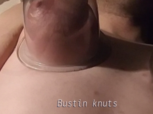 Bustin_knuts