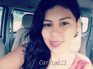 Carlina23