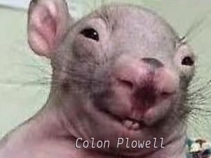 Colon_Plowell