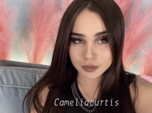 Cameliacurtis