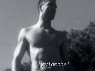 Davidmodel