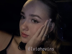 Elviahavins