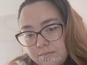 Eviedash