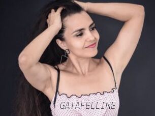 GATAFELLINE