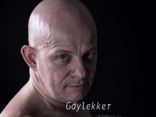 Gaylekker