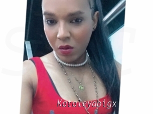 Kataleyabigx