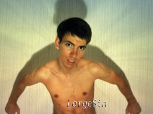 LargeSin