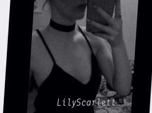 Lily_Scarlett