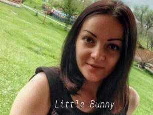 Little_Bunny_