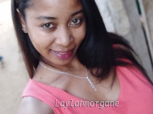 Laylahmorgane