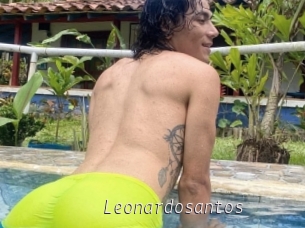 Leonardosantos