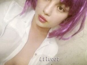 Lilucat