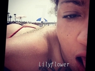 Lilyflower