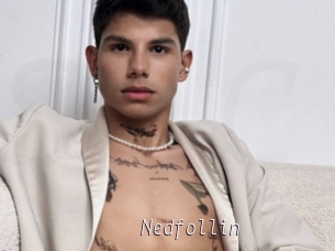 Nedfollin