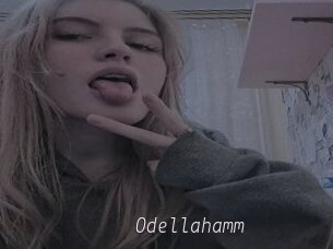 Odellahamm