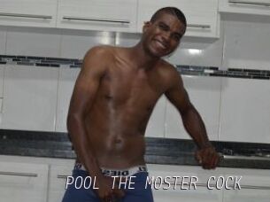 POOL_THE_MOSTER_COCK