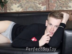 PerfectBoyToy