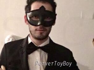 PerverToyBoy