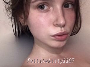 Pettitekitty1107