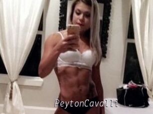 Peyton_Cavalli