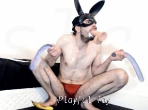 Playful_Toy