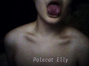 Polecat_Elly