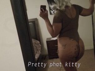 Pretty_phat_kitty