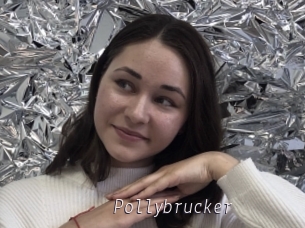 Pollybrucker