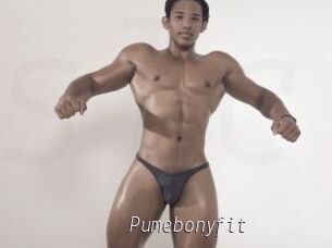 Pumebonyfit