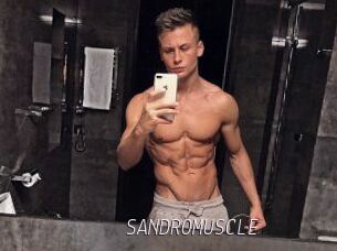 SANDRO_MUSCLE