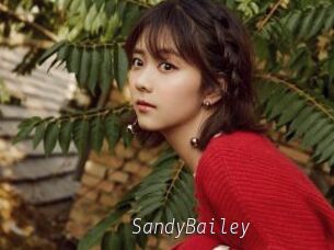 SandyBailey