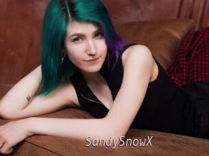 SandySnowX